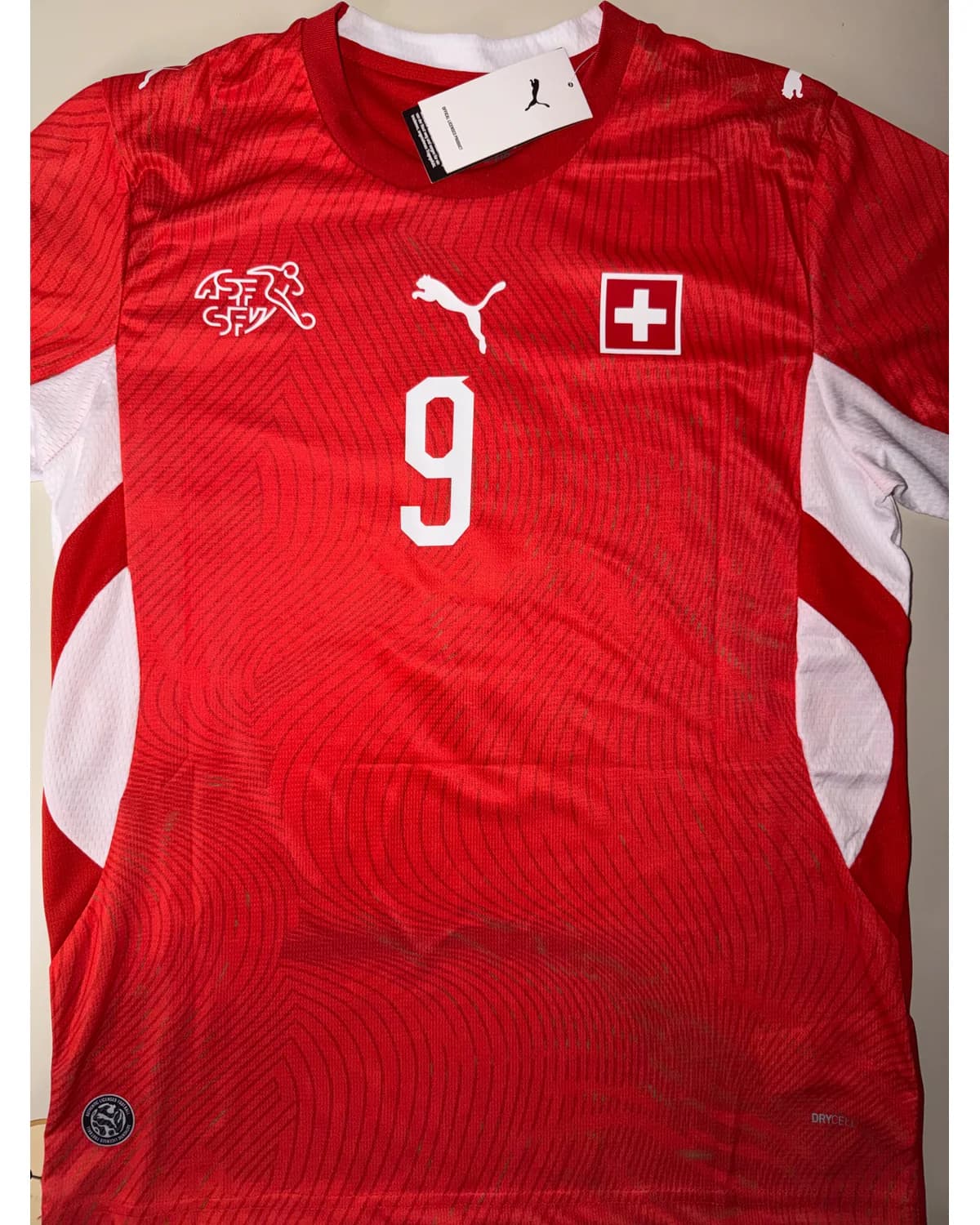 Switzerland Manzambi home